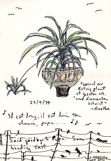Air Eating Plant