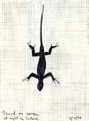 Lizard on screen
