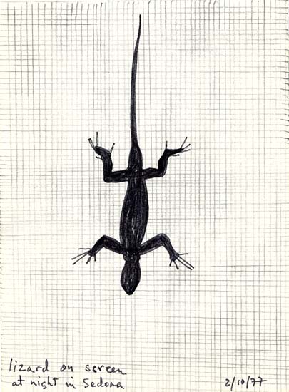 Lizard on screen