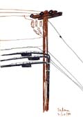 Telephone Pole
