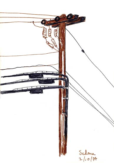 Telephone Pole