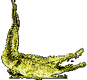 Croc